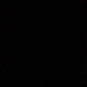 Meet your Posher, Teesha